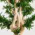 Podocarpus Seminaturale  Verde  Tronco Small Japan  H 150 cm