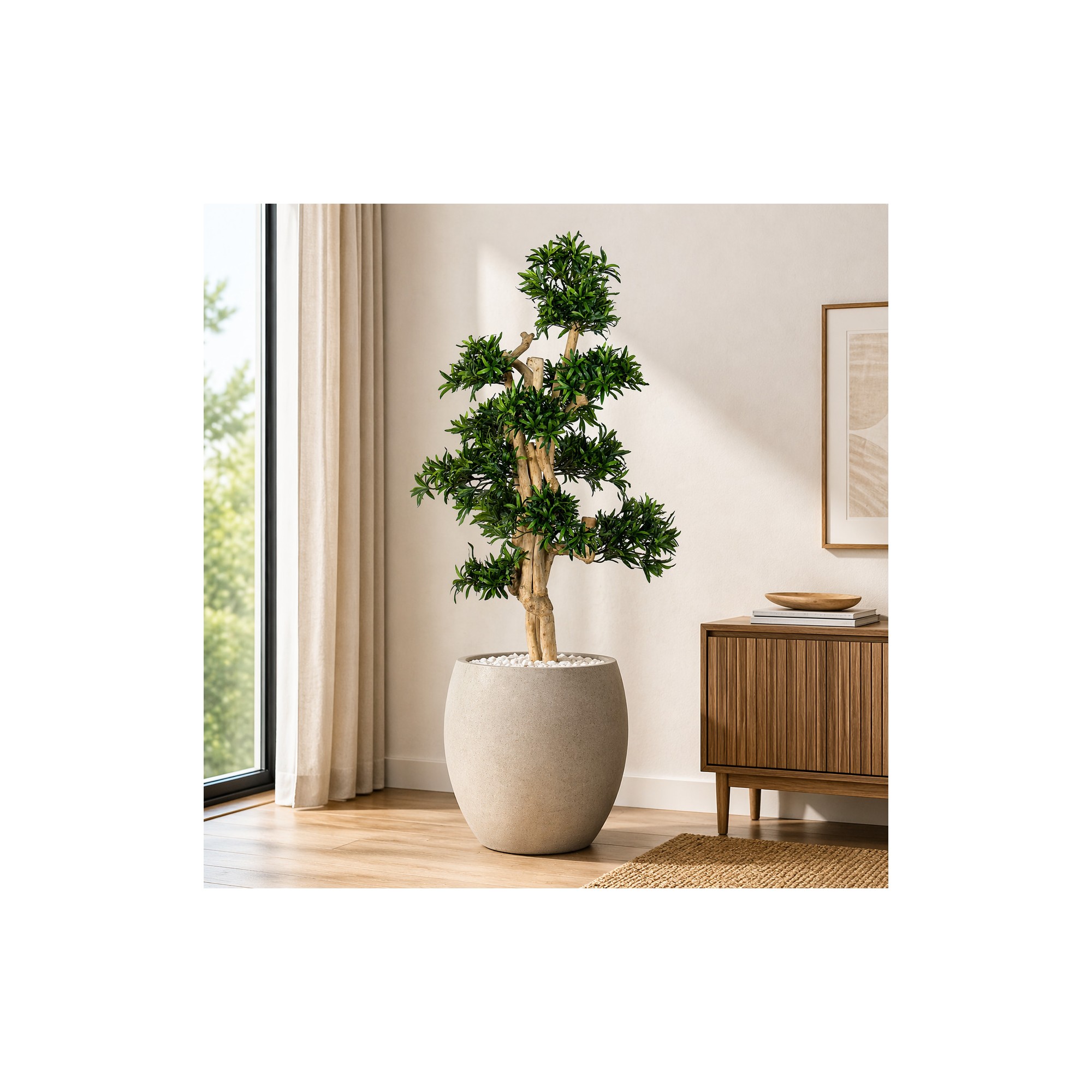  Podocarpus Seminaturale  Verde  Tronco Small Japan  H 150 cm