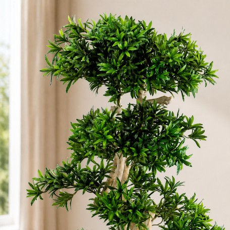 Podocarpus Seminaturale  Verde  Tronco Japan  H 180 cm