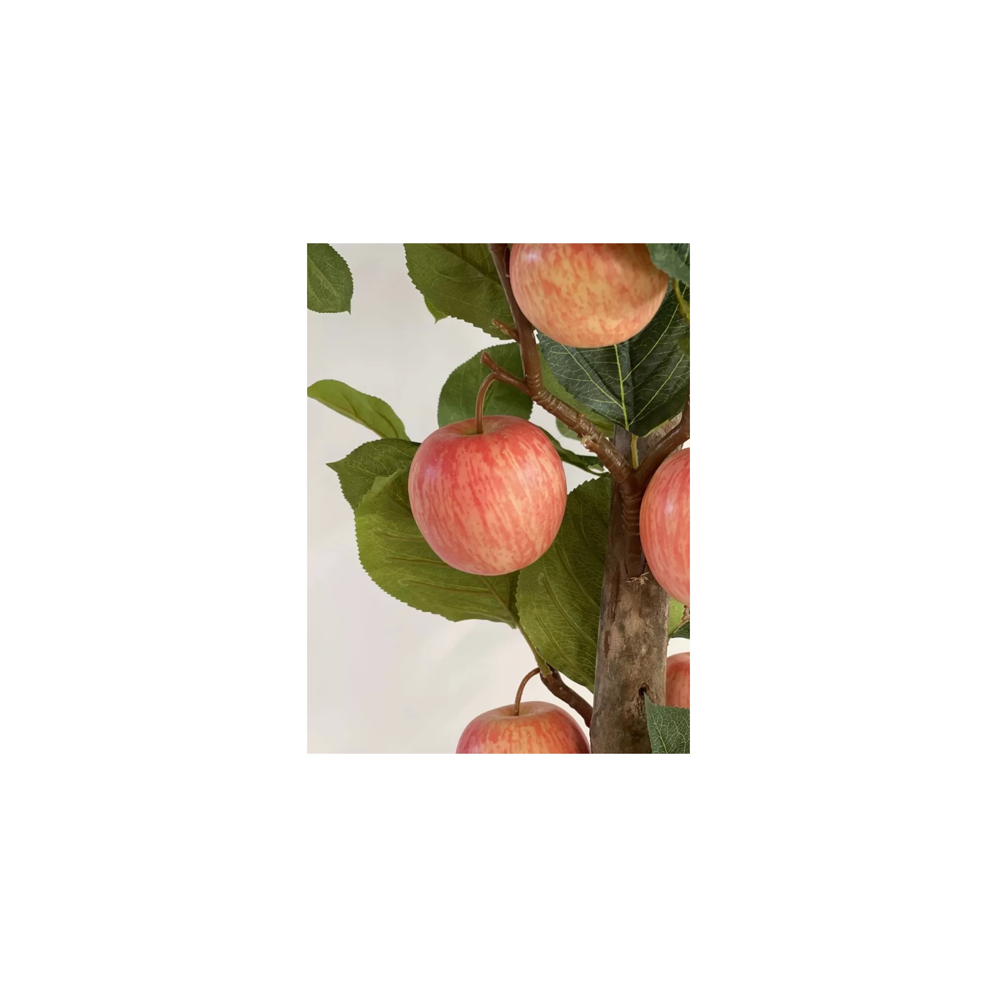  Pianta di Melo Seminaturale  Frutti Rossi Rosa  Tronco Naturale H 125 CM