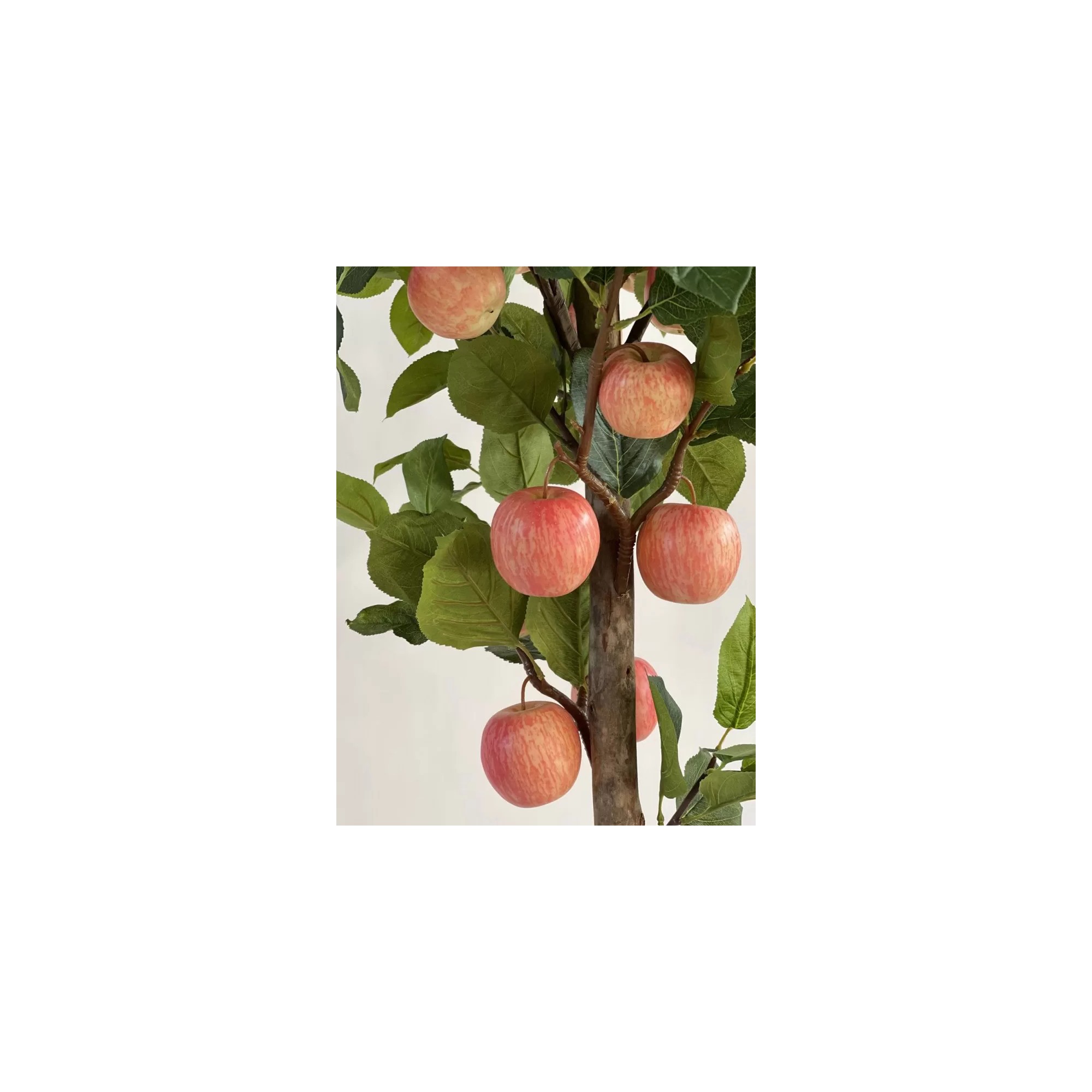  Pianta di Melo Seminaturale  Frutti Rossi Rosa  Tronco Naturale H 150 CM