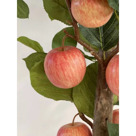 Pianta di Melo Seminaturale  Frutti Rossi Rosa  Tronco Naturale H 300 CM