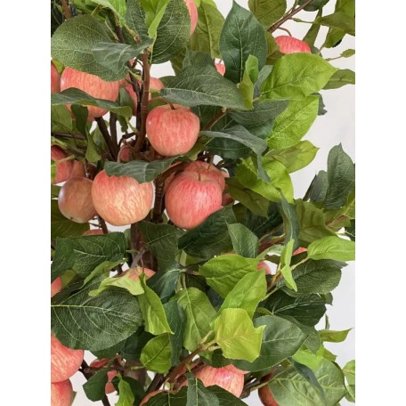 Pianta di Melo Seminaturale  Frutti Rossi Rosa  Tronco Naturale H 300 CM