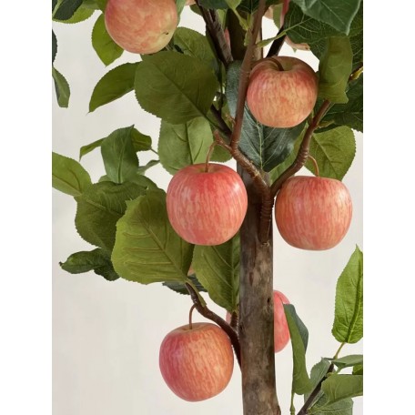 Pianta di Melo Seminaturale  Frutti Rossi Rosa  Tronco Naturale H 300 CM