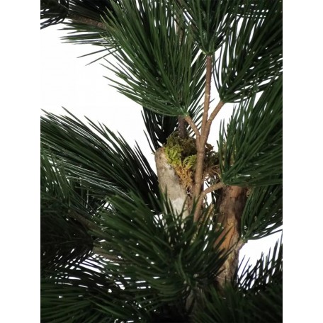 Pino Seminaturale  Verde  Tronco Mansanisi  UVR H 125 CM