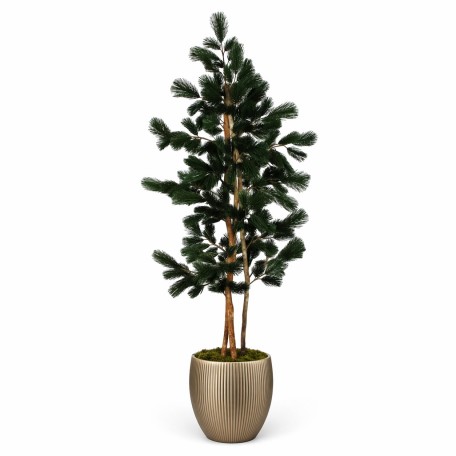 Pino Seminaturale  Verde  Tronco Mansanisi  UVR H 170 CM