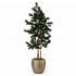 Pino Seminaturale  Verde  Tronco Mansanisi  UVR H 200 CM