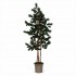 Pino Seminaturale  Verde  Tronco Mansanisi  UVR H 225 CM