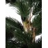 Pino Seminaturale  Verde  Tronco Mansanisi  UVR H 225 CM