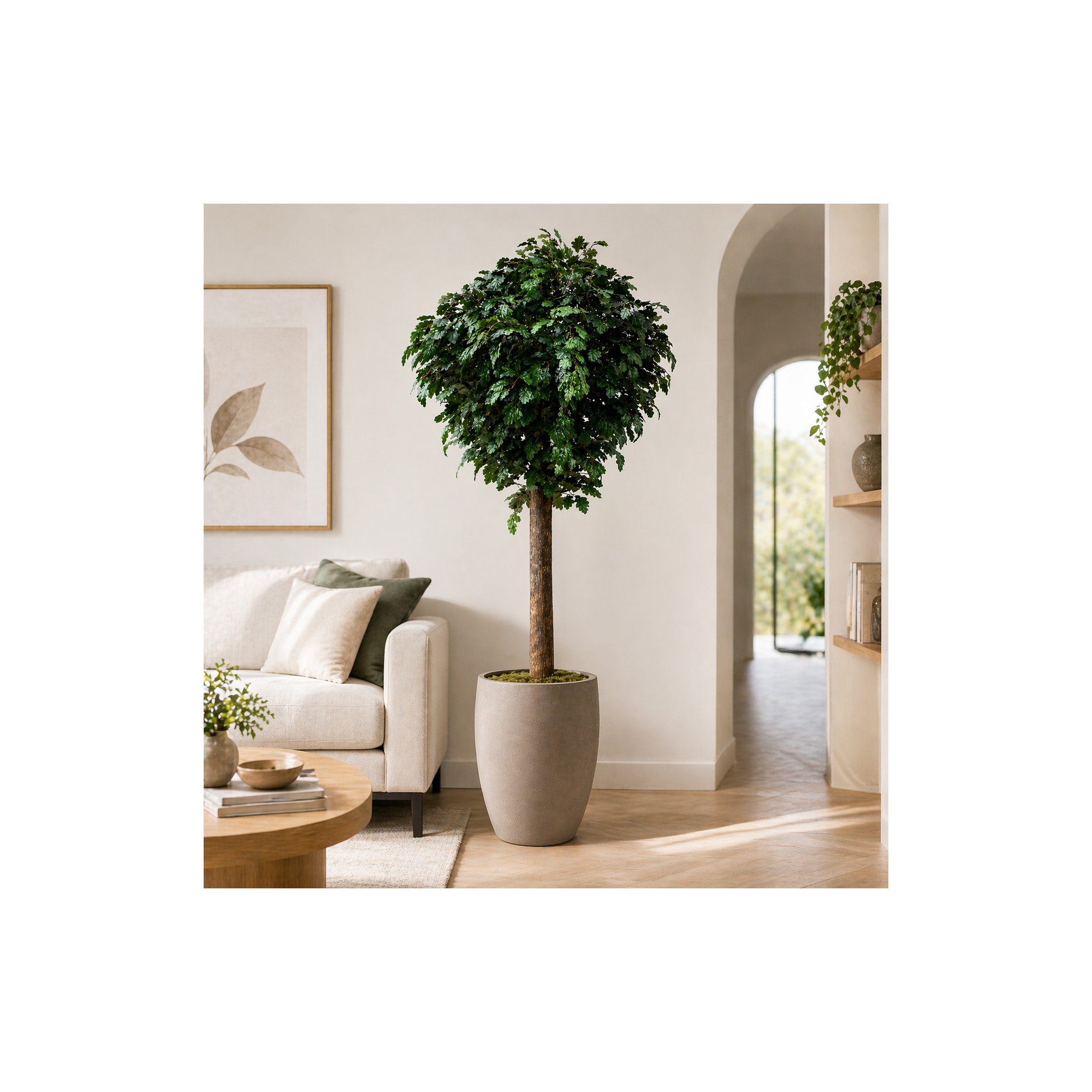  Quercia Seminaturale  Verde con frutti  Tronco Gigantea H 320 CM