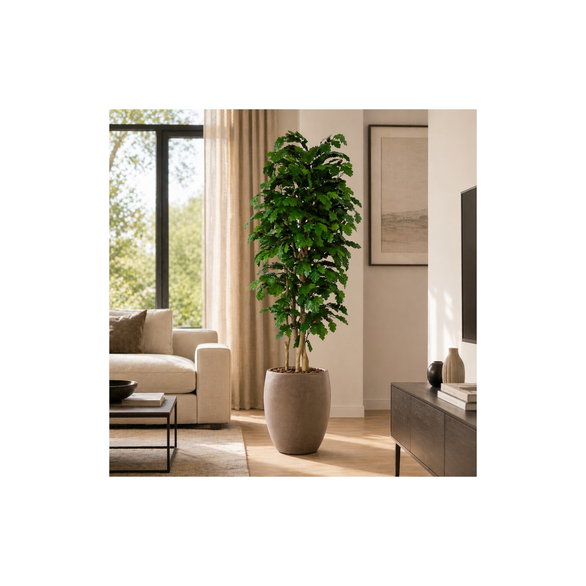  Quercia Seminaturale  Verde con frutti  Tronco Mansanisi  UVR H 175 CM