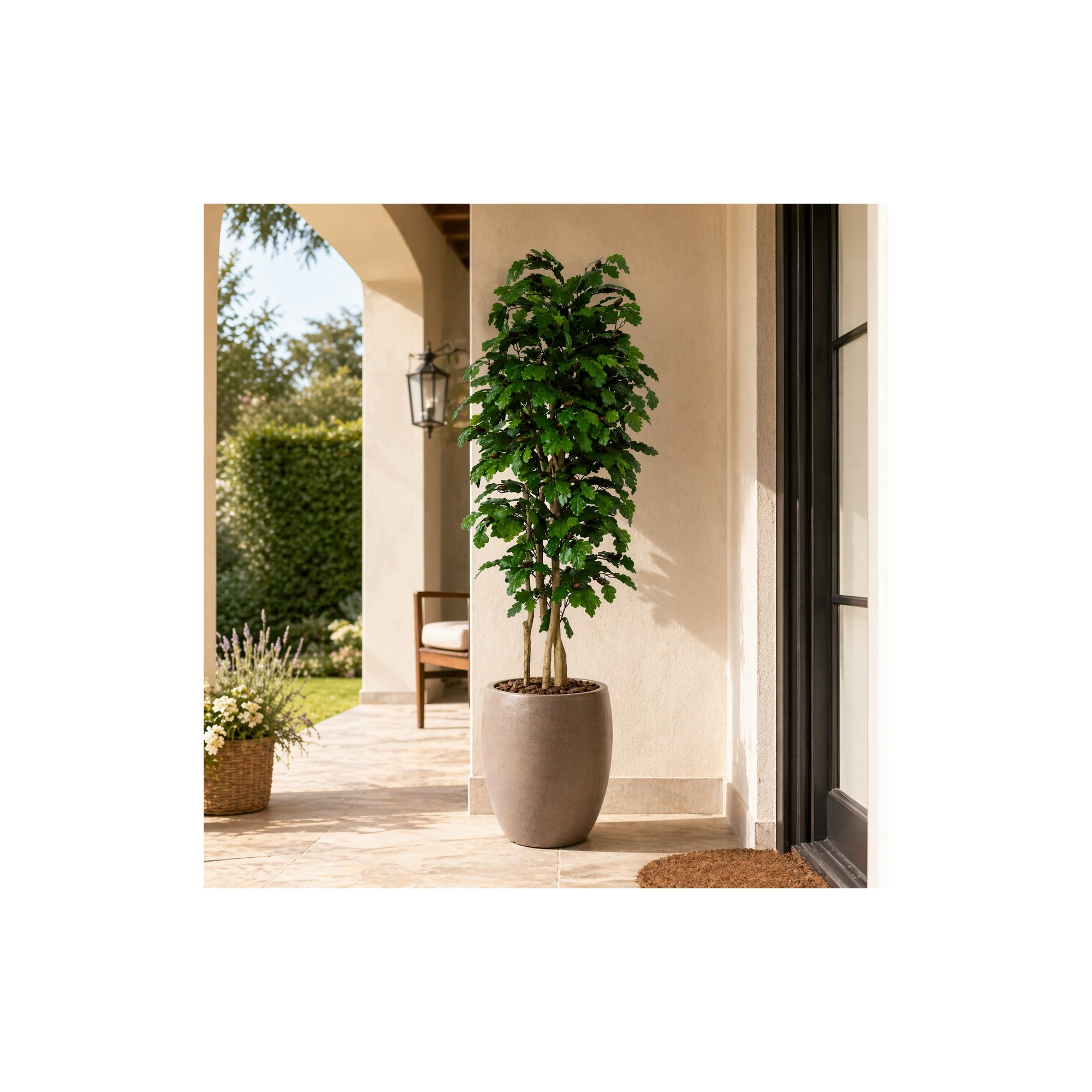  Quercia Seminaturale  Verde con frutti  Tronco Mansanisi  UVR H 225