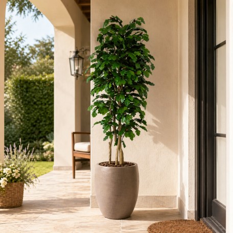 Quercia Seminaturale  Verde con frutti  Tronco Mansanisi  UVR H 250 CM