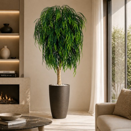 Salice Seminaturale  Verde  Tronco Mansanisi  UVR H 200 CM