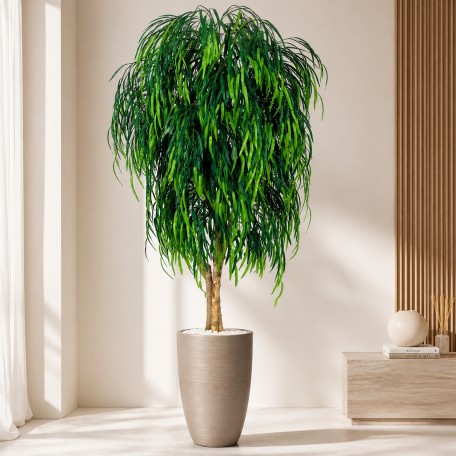 Salice Seminaturale  Verde  Tronco Mansanisi  UVR H 225 CM