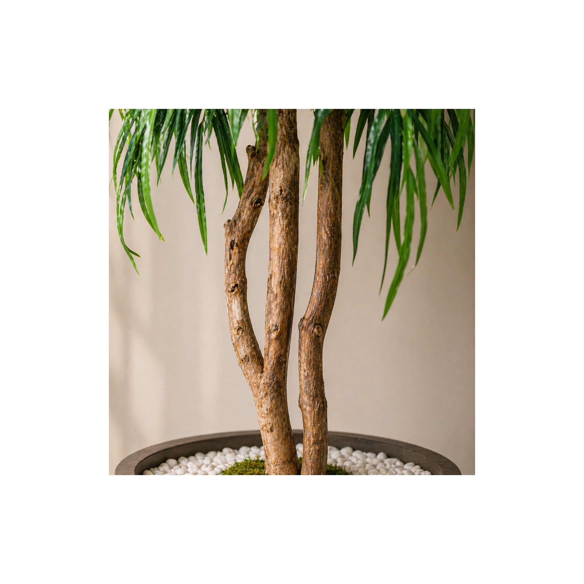  Salice Seminaturale Grande  Verde  Tronco Mansanisi  UVR H 250 CM