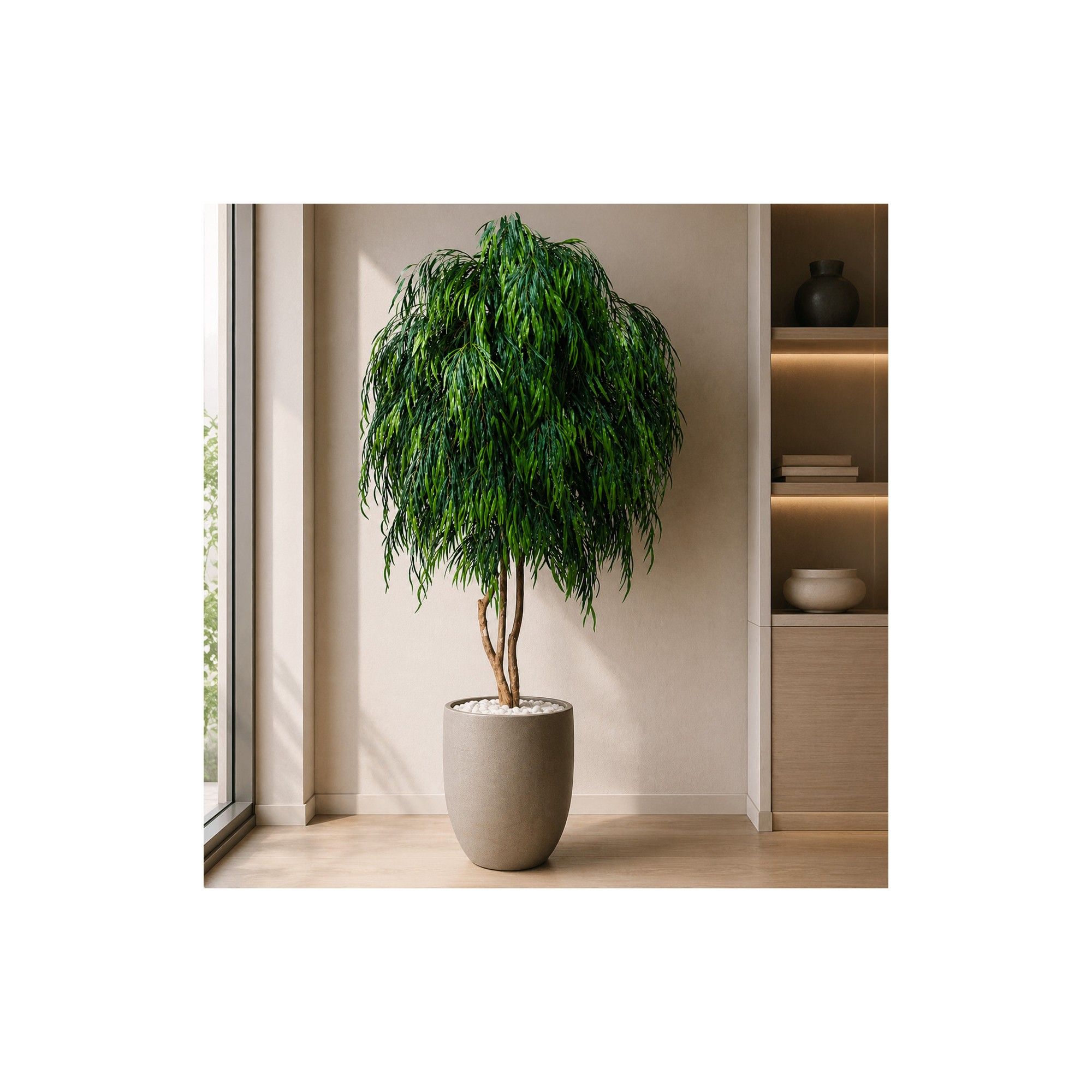 Salice Seminaturale Grande  Verde  Tronco Mansanisi  UVR H 275 CM