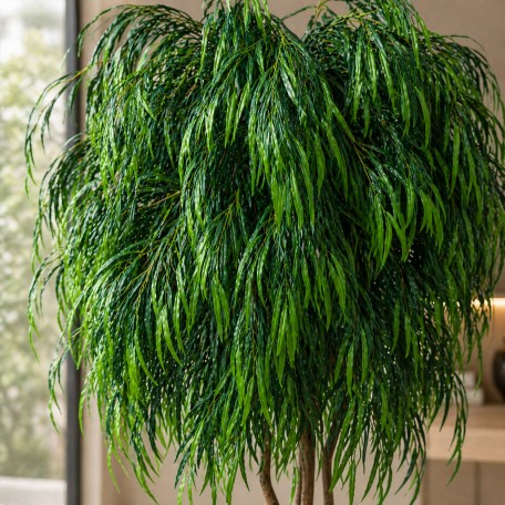 Salice Seminaturale Grande  Verde  Tronco Mansanisi  UVR H 275 CM