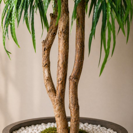 Salice Seminaturale Grande  Verde  Tronco Mansanisi  UVR H 300 CM