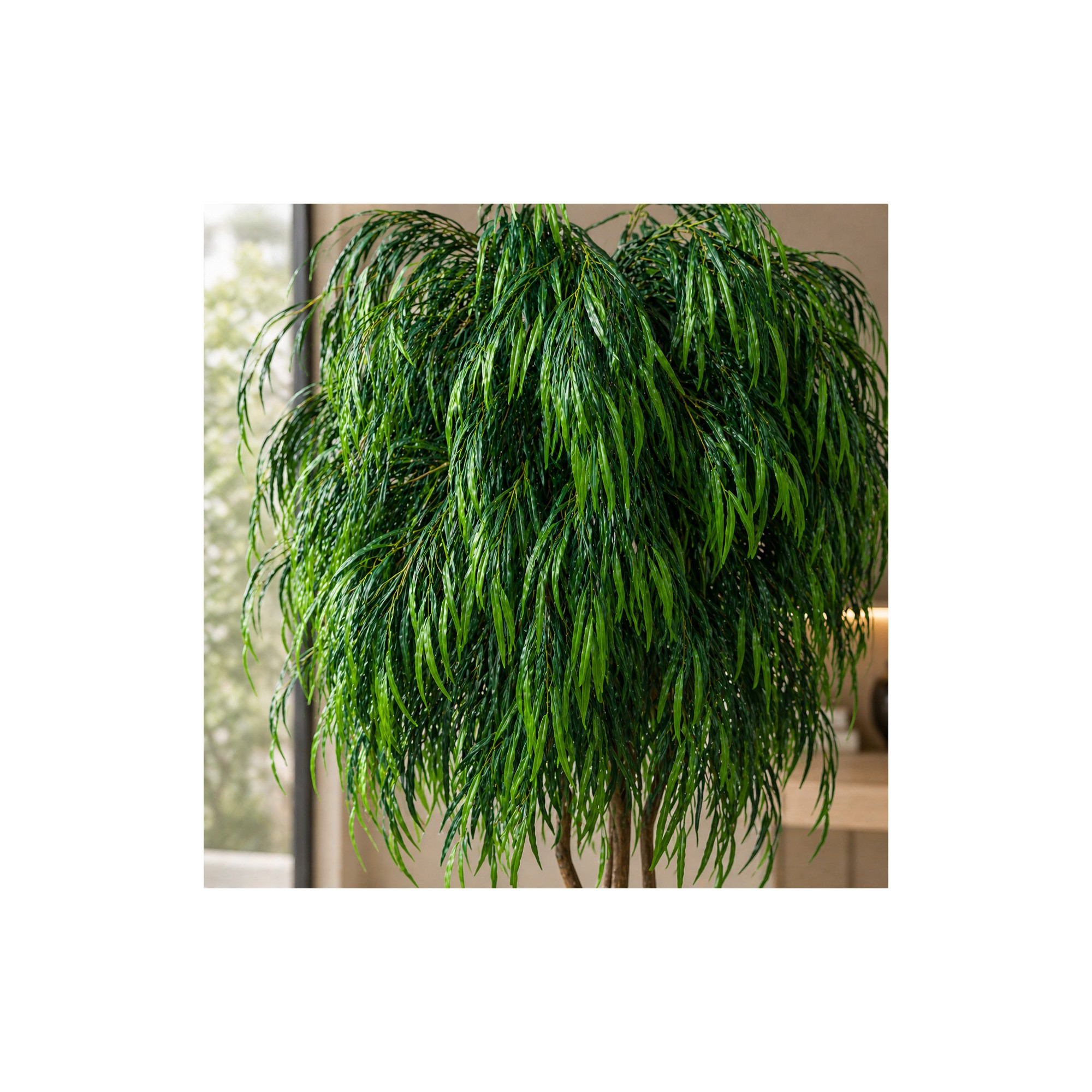  Salice Seminaturale Grande  Verde  Tronco Mansanisi  UVR H 300 CM