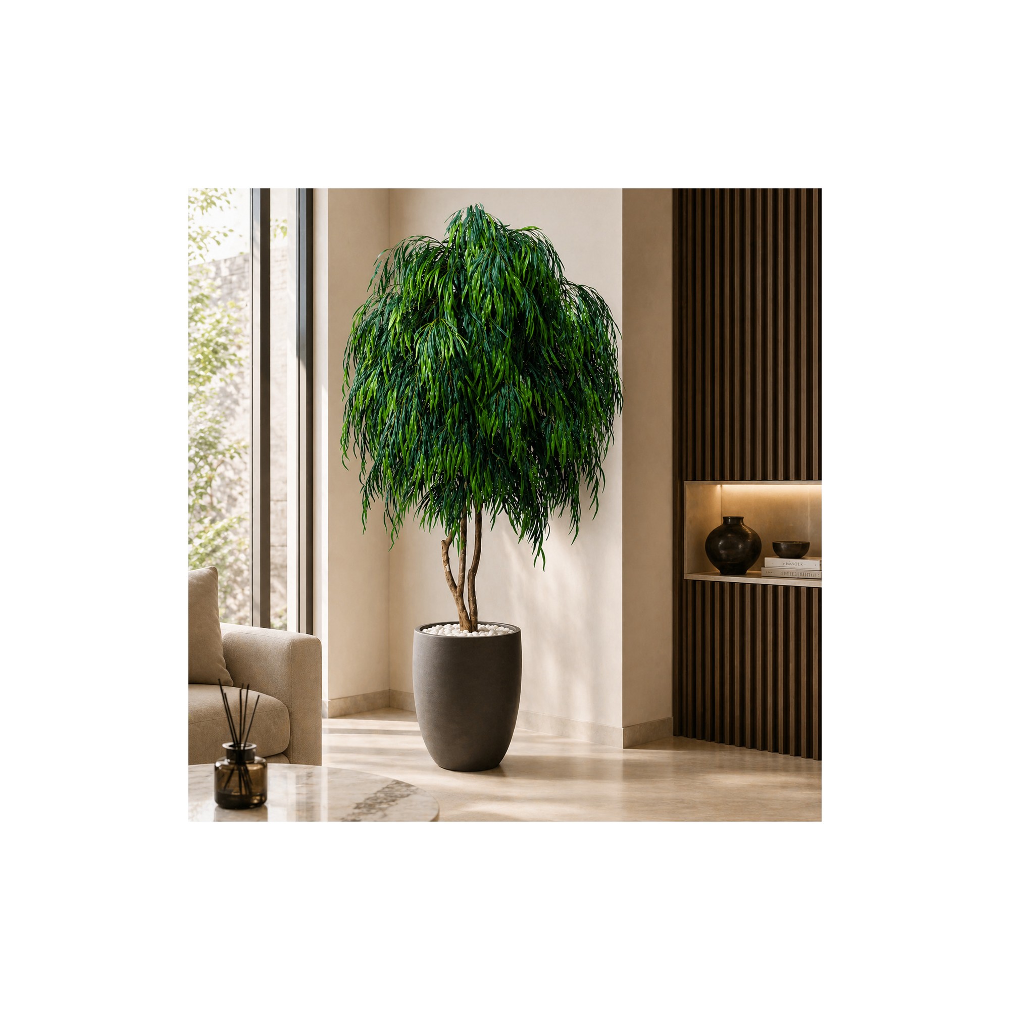  Salice Seminaturale Grande  Verde  Tronco Mansanisi  UVR H 300 CM