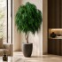 Salice Seminaturale Grande  Verde  Tronco Mansanisi  UVR H 300 CM