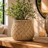 Vaso In Cemento Knot M