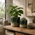 Vaso Moss - Verde Cemento - M