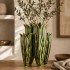 Vase Tulipe Verte