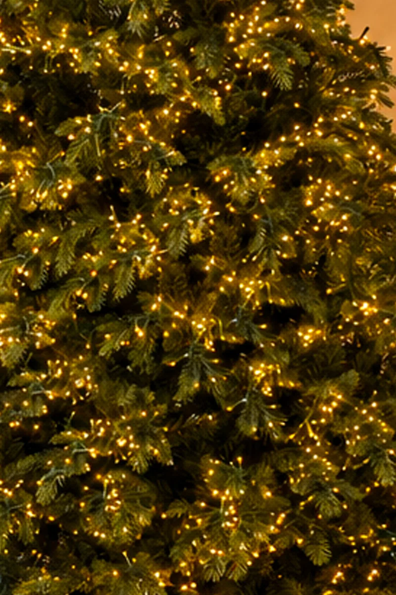 Nahaufnahme der Zweige des Weihnachtsbaums mit Beleuchtung Giulia Grillo: warmweiße LEDs in der Krone, Silikonspitzen